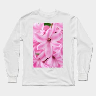 Hyacinthus orientalis  &#39;Pink Surprise&#39;  Hyacinth Long Sleeve T-Shirt